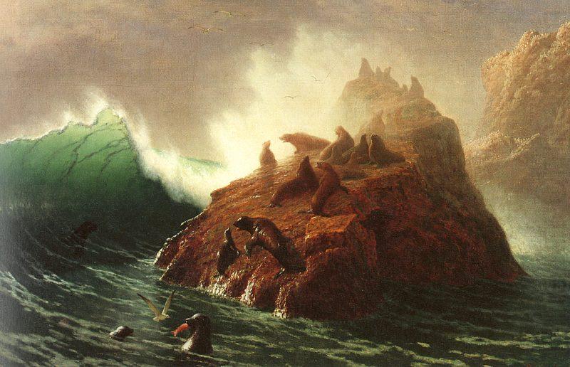 Albert Bierstadt Seal Rock china oil painting image